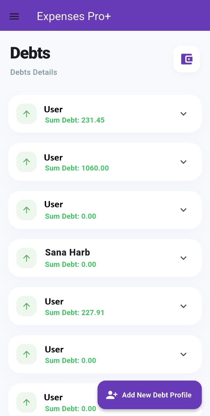 Expenses Pro+ debts screen