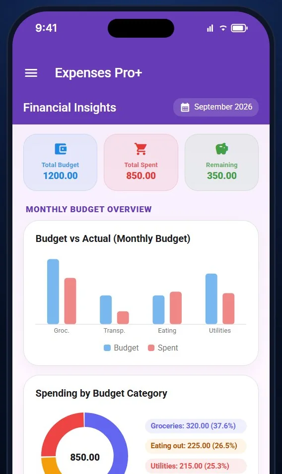 Budget versus actual charts